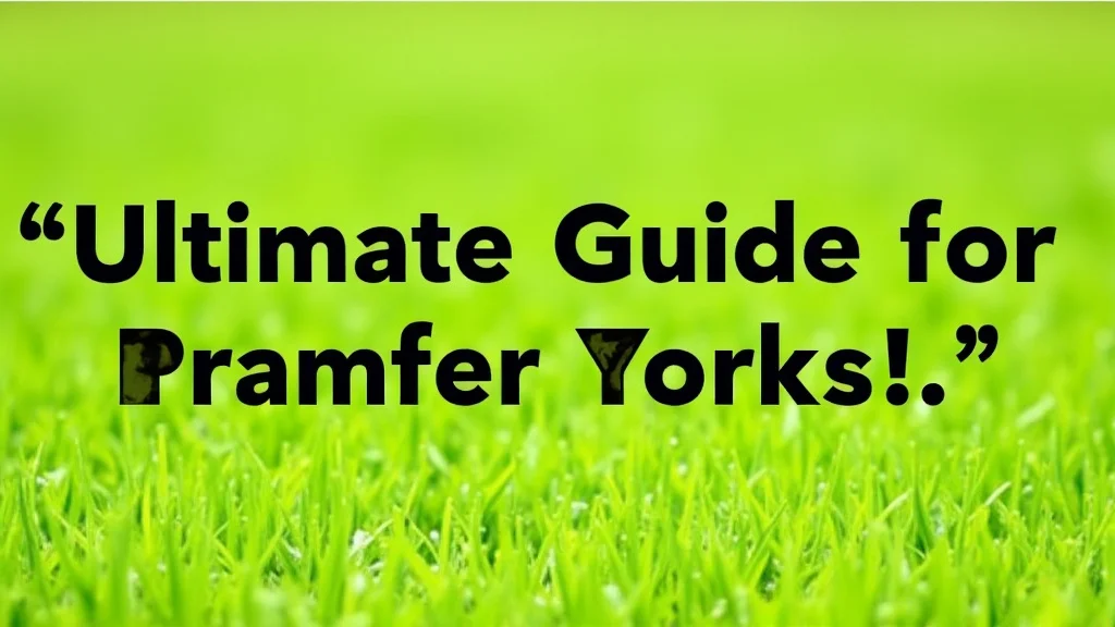 Lawn and Garden LLC Gilmour: The Ultimate Guide for Your Yard