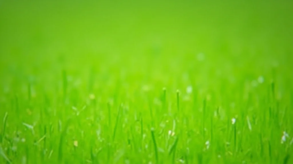 M and M Lawn Care: Your Guide to a Green and Healthy Yard