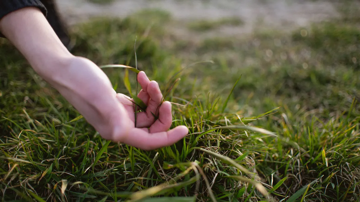 How to Identify Grass Type in Your Yard Hand holding grass blades in a lawn